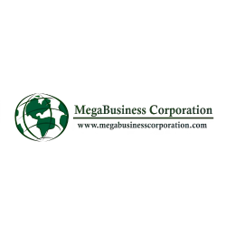 MEGA BUSINESS